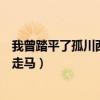 我曾踏平了孤川西风走马是什么意思（我曾踏平了孤川西风走马）