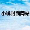 小说封面网站是什么意思（小说阅读网封面）