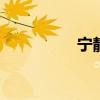 宁静看到了对齐的反应。
