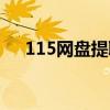 115网盘提取码分析（115网盘提取码）