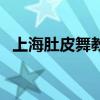 上海肚皮舞教练班培训（上海肚皮舞培训）