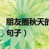 朋友圈秋天的句子短句唯美（朋友圈秋天唯美句子）