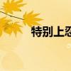 特别上忍和上忍区别（特别上忍）