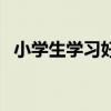 小学生学习好方法（小学生学习方法介绍）