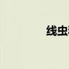 线虫和蛔虫的区别（线虫）