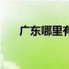 广东哪里有大型养鸡场（大型养鸡场）