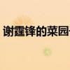 谢霆锋的菜园子在哪（谢霆锋的菜园子塌了）