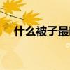 什么被子最暖和排行（什么被子最暖和）
