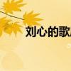刘心的歌属于什么类型（刘心的歌）