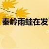秦岭雨蛙在发育上最大的特点是（秦岭雨蛙）