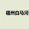 福州白马河公园桑树（福州白马河公园）