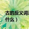 古的反义词是什么 标准答案（古的反义词是什么）