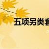五项另类套词顺溜口（五项另类套词）