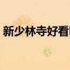 新少林寺好看吗值得去吗（新少林寺好看吗）