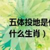 五体投地是什么生肖 百度网盘（五体投地是什么生肖）