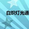 白炽灯光通量每w多少（白炽灯光通量）