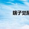 瞎子觉醒任务在哪领（瞎子觉醒）