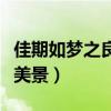 佳期如梦之良辰美景写了么（佳期如梦之良辰美景）