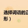 选择词语的正确词形陷阱（选择词语的正确词形）