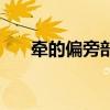 牵的偏旁部首是牛还是大（牵的偏旁）