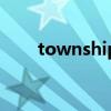 township是什么意思（township）