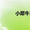 小犀牛童装老板（小犀牛童装）