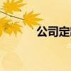 公司定制软件（企业定制软件）