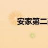 安家第二部剧情介绍（安家第二部）