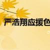 严浩翔应援色,粉丝名,口号（严浩翔应援色）