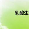 乳酸生产企业（乳酸生产厂家）