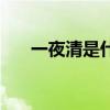 一夜清是什么意思（清夜是什么意思）