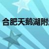 合肥天鹅湖附近有什么好玩的（合肥天鹅湖）