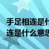 手足相连是什么意思十二生是哪个肖（手足相连是什么意思）