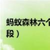 蚂蚁森林六个变化阶段（蚂蚁森林树的六个阶段）