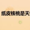 纸皮核桃是天然的吗还是加工的（纸皮核桃）
