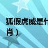 狐假虎威是什么生肖动物（狐假虎威是什么生肖）