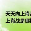 天天向上肖战是哪期2019在线观看（天天向上肖战是哪期）