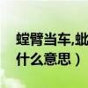 螳臂当车,蚍蜉撼树是什么意思（蚍蜉撼树是什么意思）