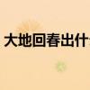大地回春出什么生肖(大地回春打一个生肖) 大地回春出什么生肖(大地回春打一个生肖)