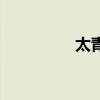 太青春芽茶叶（太青春）