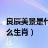 良辰美景是什么生肖动物视频（良辰美景是什么生肖）