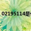 02195114是什么电话（95114是什么电话）