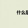 什么是质数（什么是质因数）