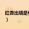 红杏出墙是什么生肖?（红杏出墙是什么生肖）