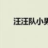 汪汪队小男孩的名字（小男孩的名字）