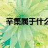 辛集属于什么城市（辛集是哪个省的城市）