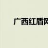 广西红盾网企业信息查询（广西红盾）
