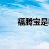 福腾宝是哪个国家的品牌（福腾宝）