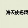 海天使杨颖（angelababy海天使造型）