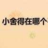 小舍得在哪个平台播（小舍得在哪个台播出）